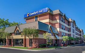 Comfort Inn Near Greenfield Village